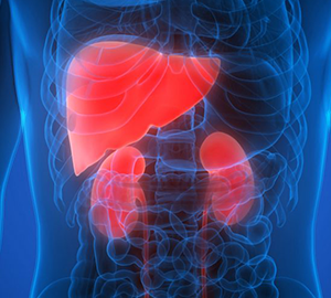 Kidney & Liver Care